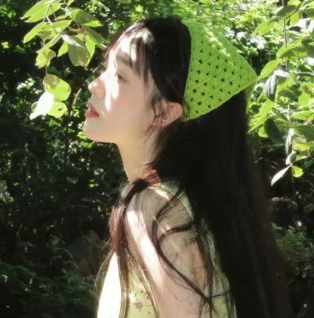 黑眉蚊